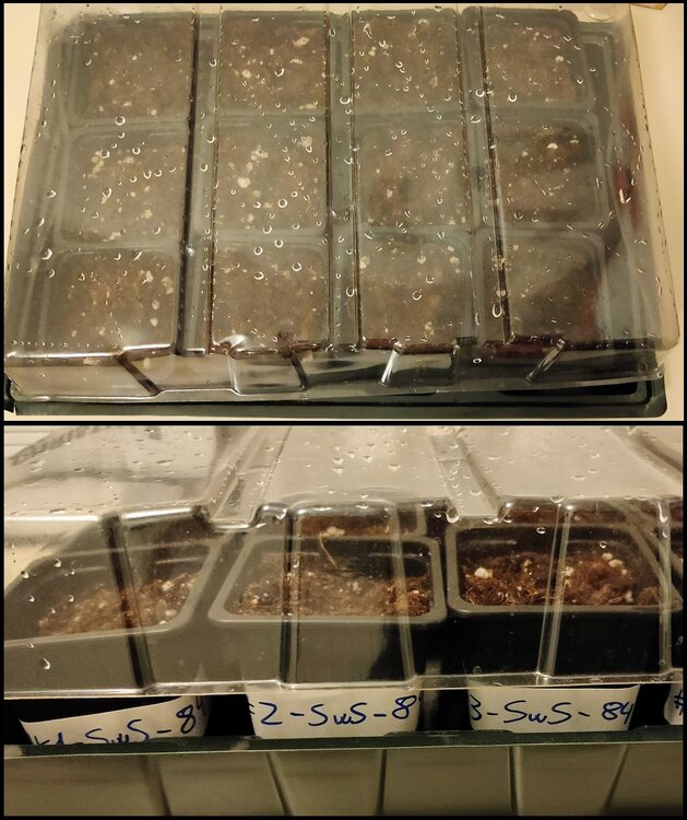 Ambiente Húmedo JPEG.jpg