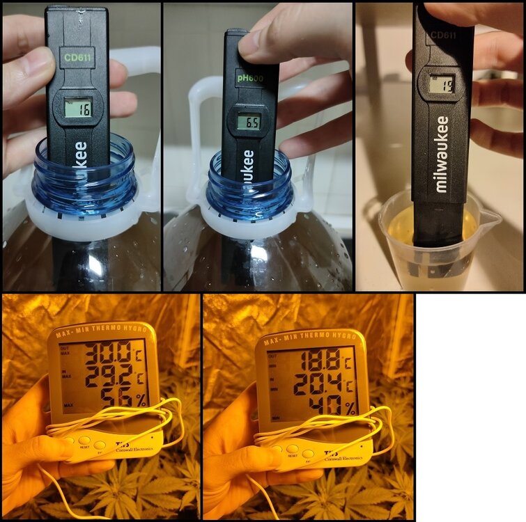 Floración 5.0.1.jpg