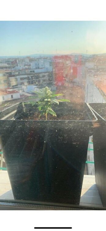 WhatsApp Image 2019-08-23 at 08.48.41.jpeg