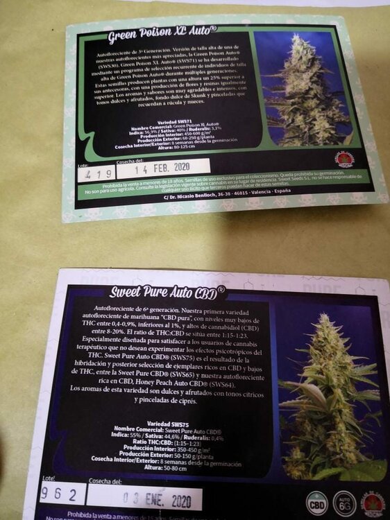 WhatsApp Image 2020-09-18 at 10.38.33.jpeg