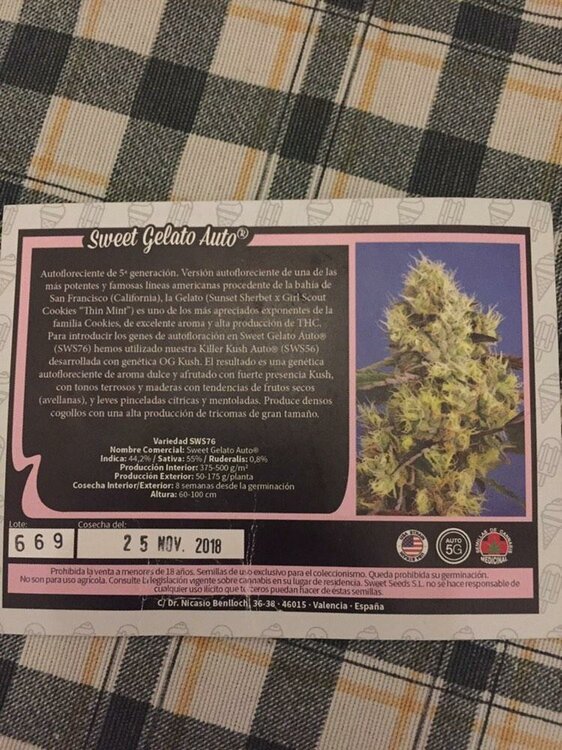 WhatsApp Image 2019-11-26 at 08.24.36.jpeg