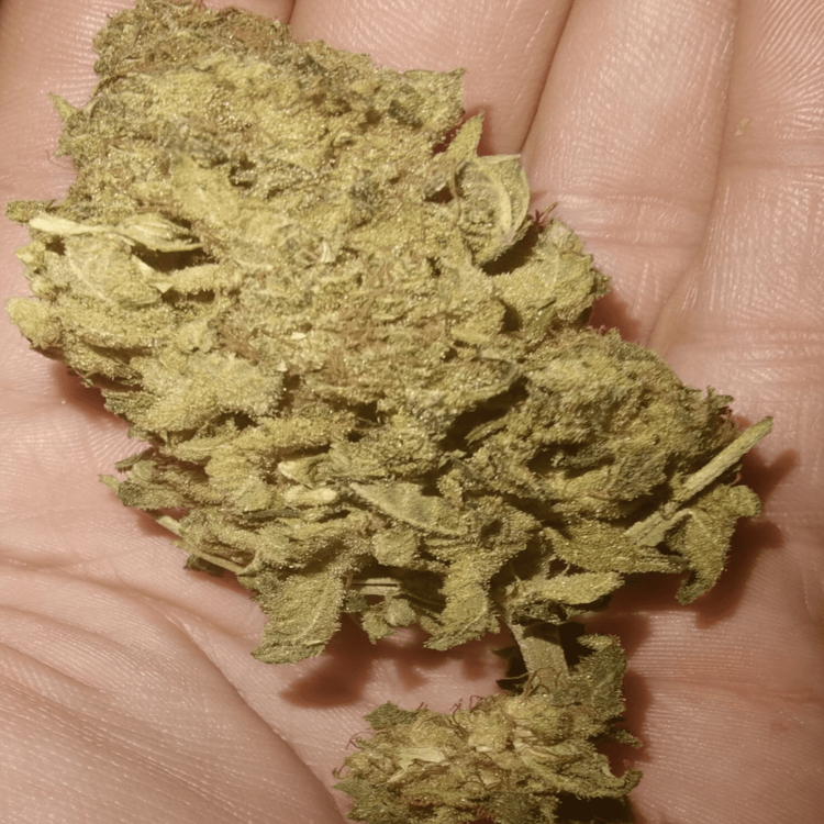 IMG_20201112_145407 (1) (1).png