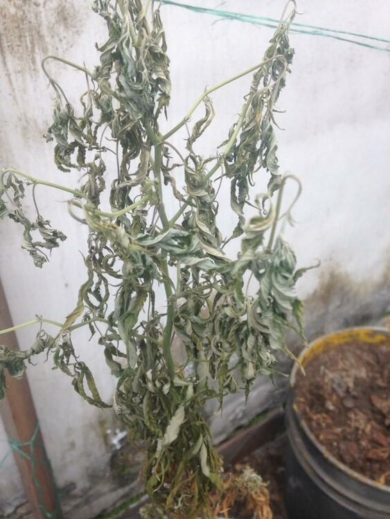 WhatsApp Image 2019-07-24 at 10.05.07 (2).jpeg