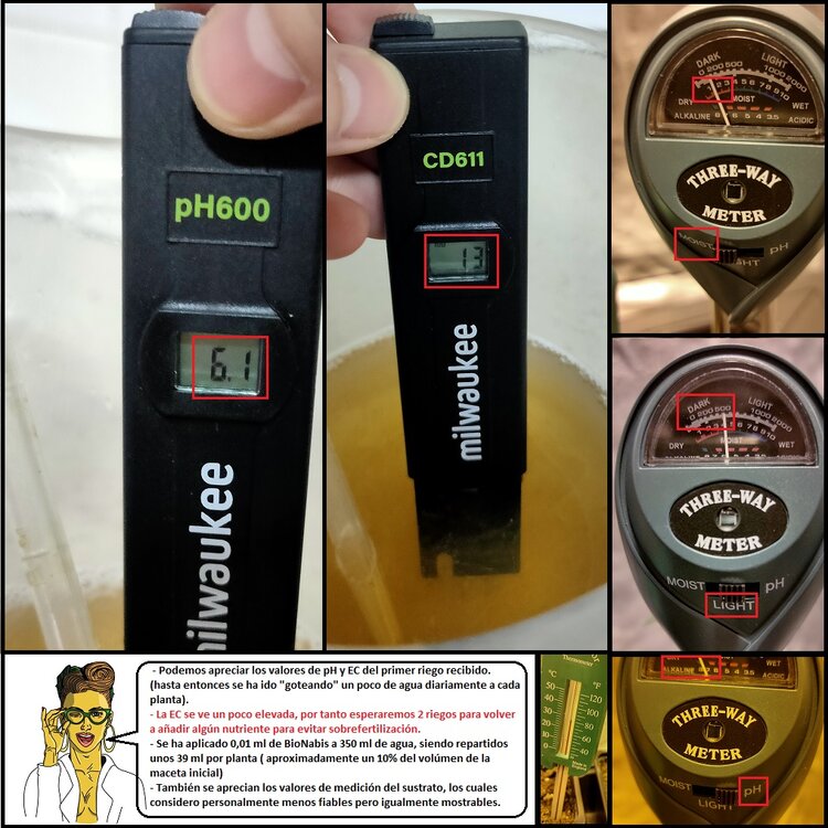 Germinación 4.3.jpg