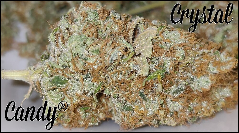 Crystal Candy.jpg