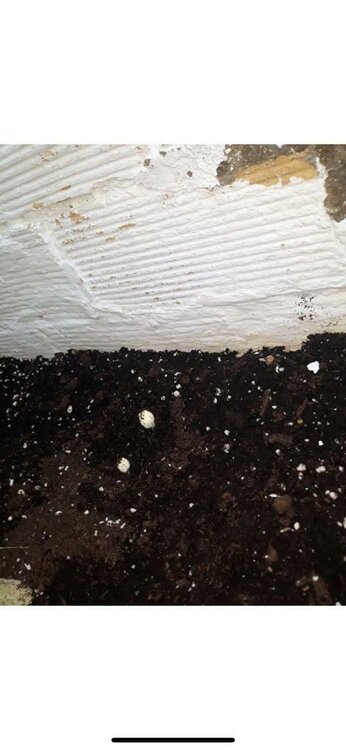 WhatsApp Image 2019-08-26 at 11.48.49.jpeg