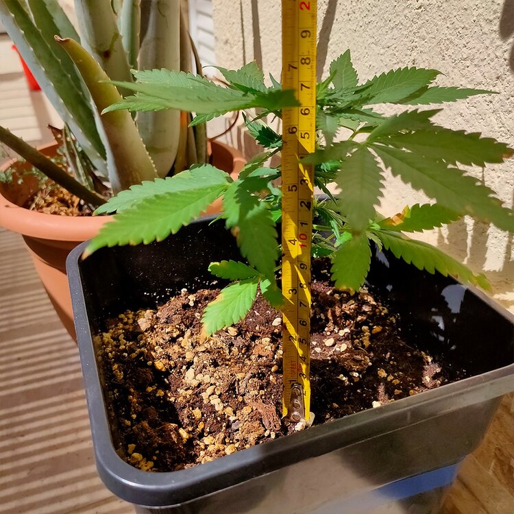 WhatsApp Image 2020-08-31 at 13.32.19.jpeg