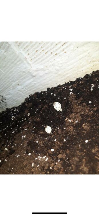 WhatsApp Image 2019-08-26 at 11.48.35.jpeg