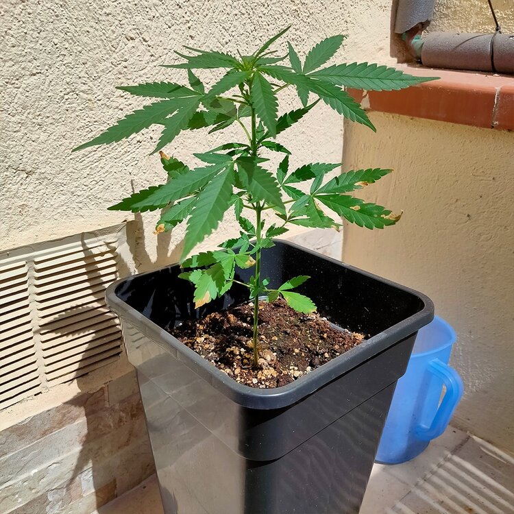 WhatsApp Image 2020-08-31 at 13.32.19 (2).jpeg