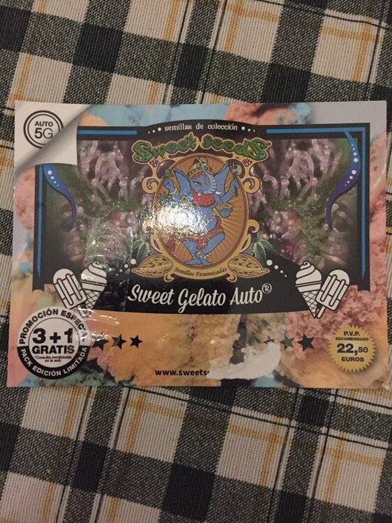 WhatsApp Image 2019-11-26 at 08.24.36 (1).jpeg