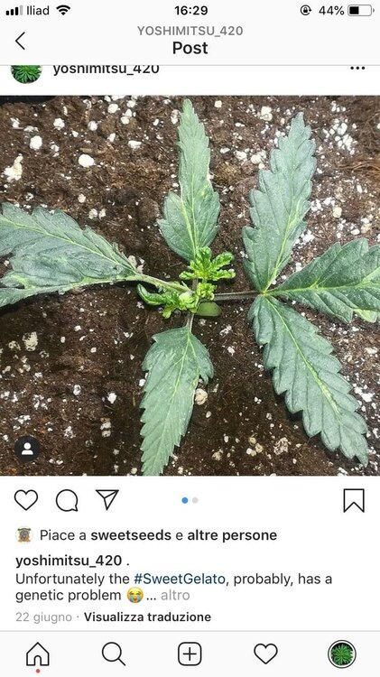 WhatsApp Image 2019-11-26 at 08.24.35 (1).jpeg