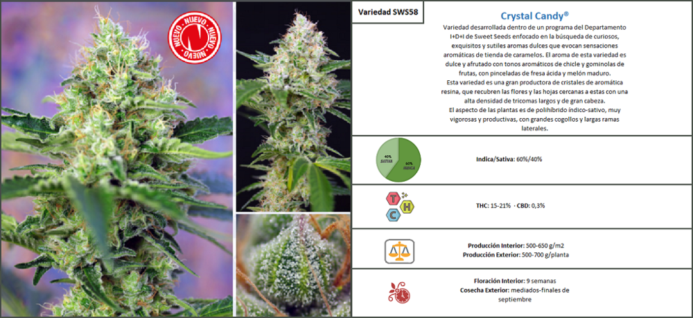 Ficha Crystal Candy 2.png