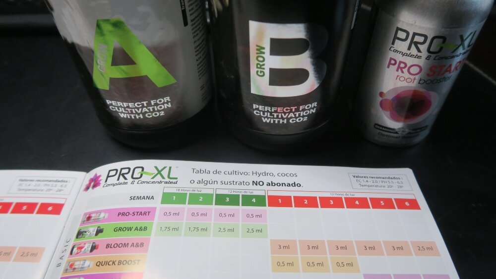 ABONOS 2ª SEMANA.jpg