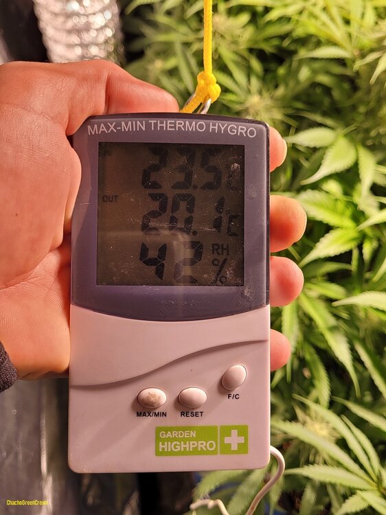 20210326_100643 (1).jpg