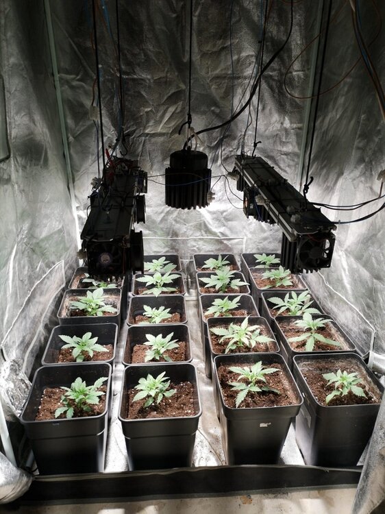 WhatsApp Image 2020-03-07 at 18.58.08 (1).jpeg