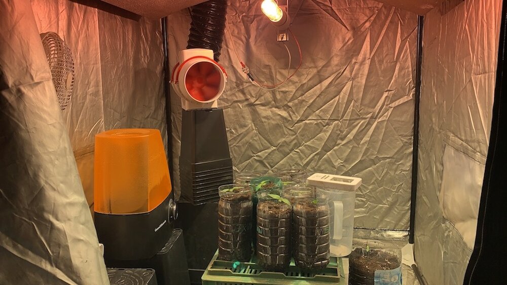 81C0F535-18D0-47B9-8FD8-26C976FB55F6 2.JPG