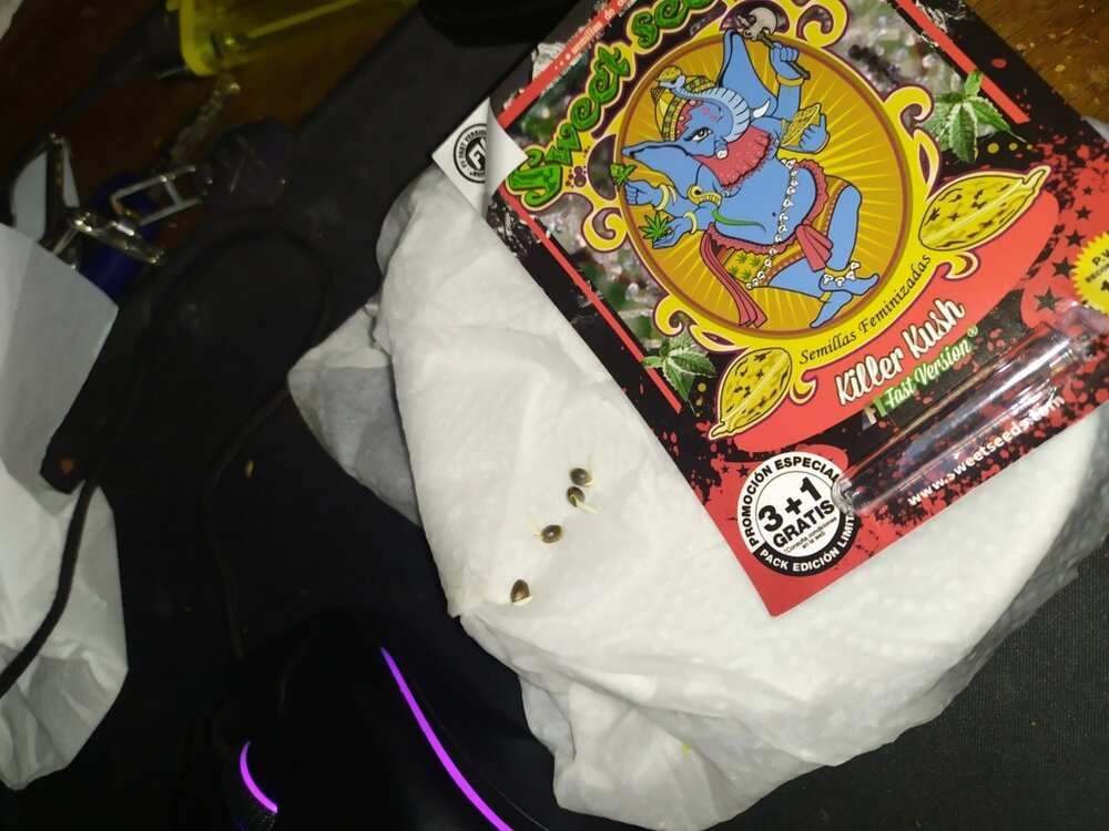 IMG_20200306_125350 (FILEminimizer).jpg