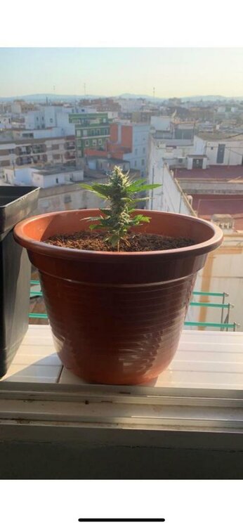 WhatsApp Image 2019-08-23 at 08.48.55.jpeg