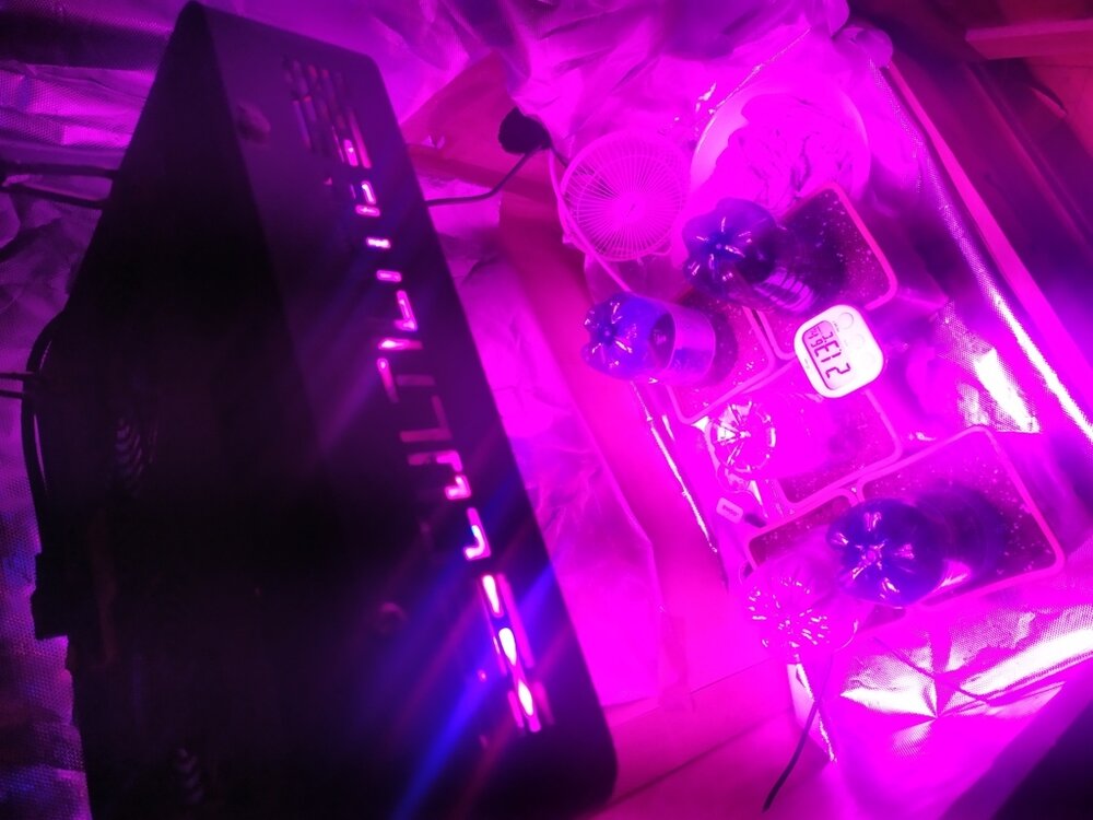 IMG_20200306_222438 (FILEminimizer).jpg