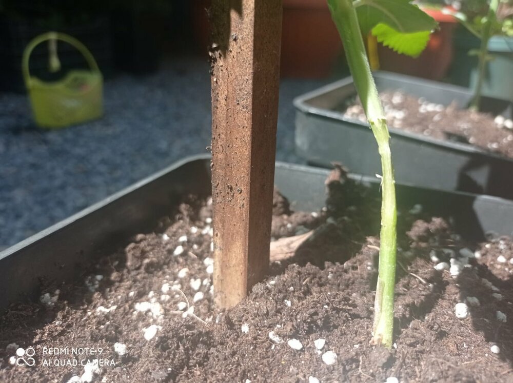 WhatsApp Image 2022-10-23 at 16.13.00.jpeg