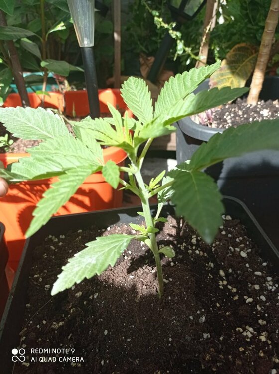 WhatsApp Image 2022-10-22 at 16.39.26.jpeg