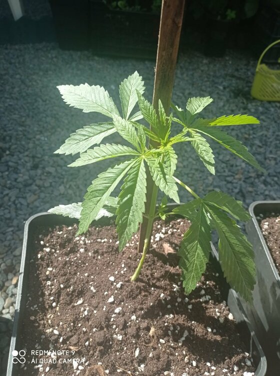 WhatsApp Image 2022-10-23 at 16.13.00 (1).jpeg