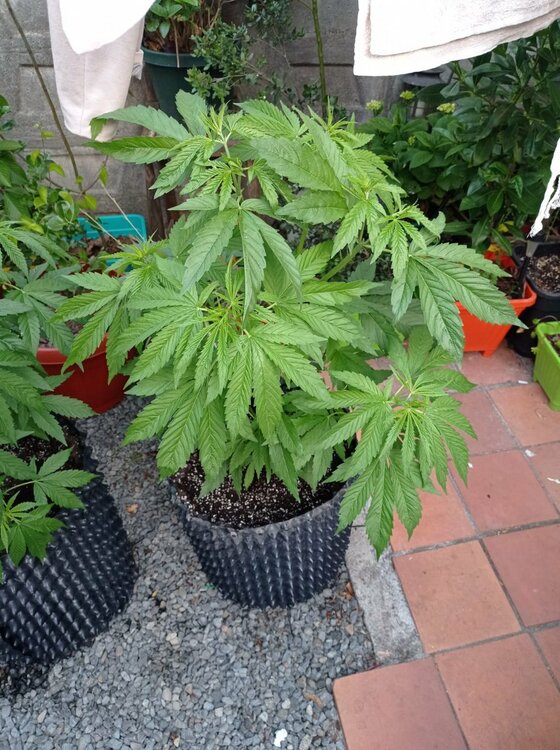 WhatsApp Image 2022-11-19 at 20.32.11.jpeg