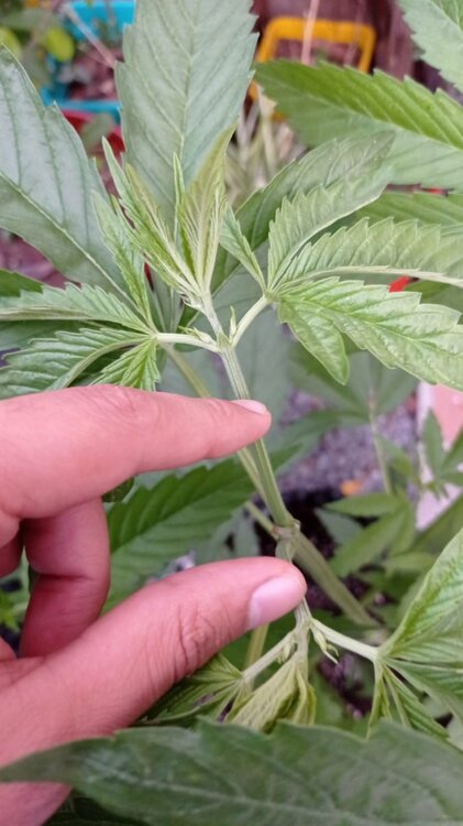 WhatsApp Image 2022-11-19 at 20.32.19.jpeg