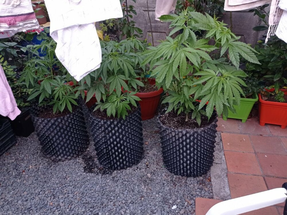 WhatsApp Image 2022-11-19 at 20.32.11 (1).jpeg