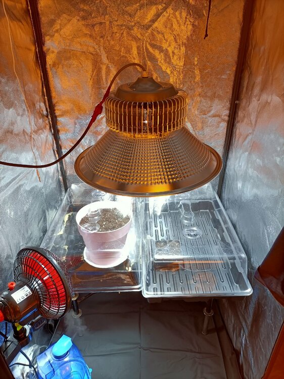 IMG20221205210630 (1).jpg