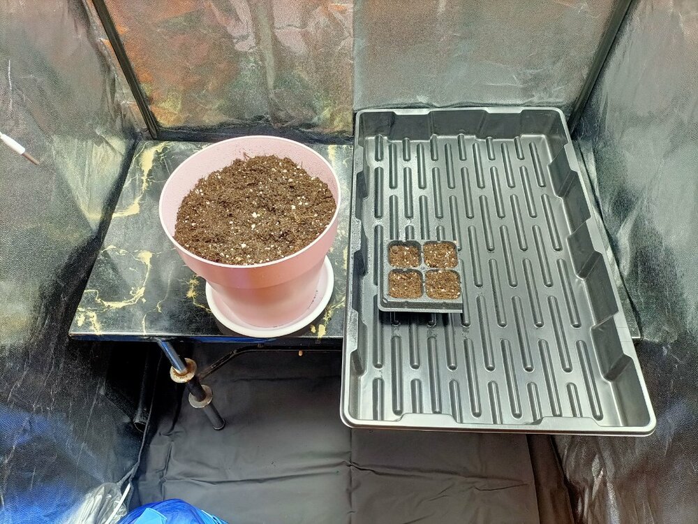 IMG20221205195439 (1).jpg